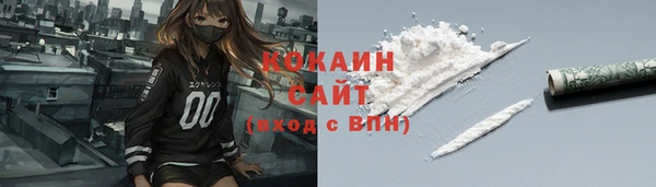 дживик Белокуриха