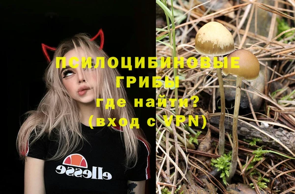 дживик Белокуриха